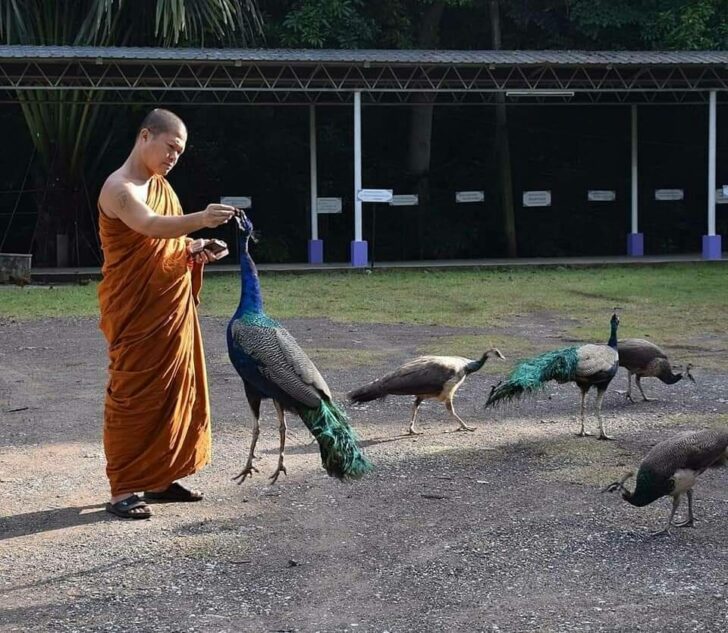 พระ