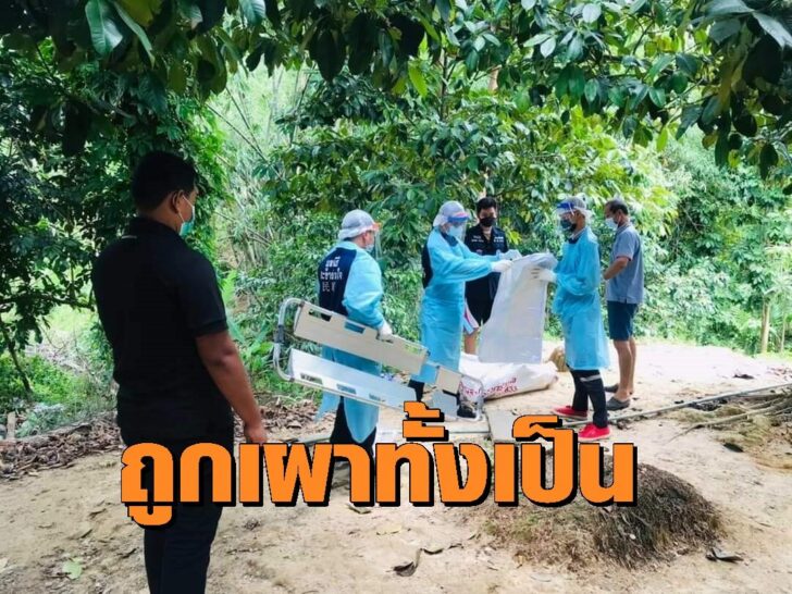 พิการ