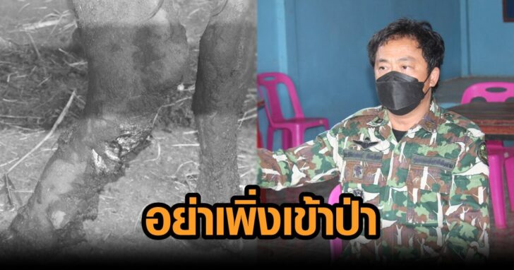 ภาพนำ อย่าเพิ่เข้าป่า