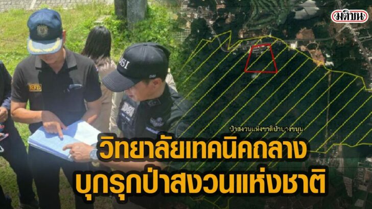 มติชน (2)