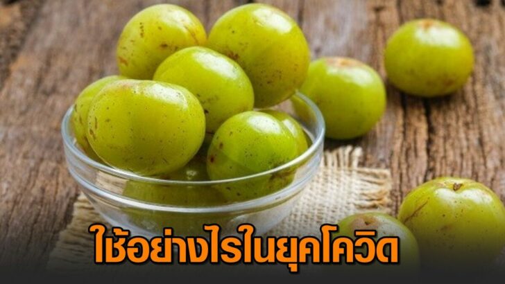 มะขามป้อม
