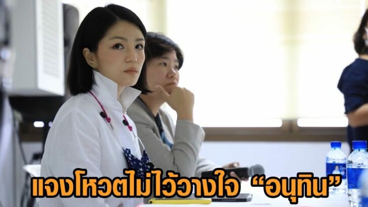 มาดามเดียร์