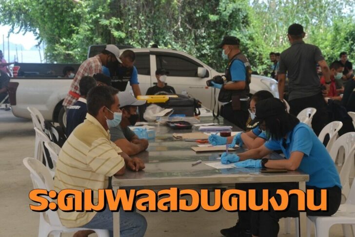 รังนก