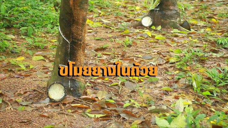 ลักยาง