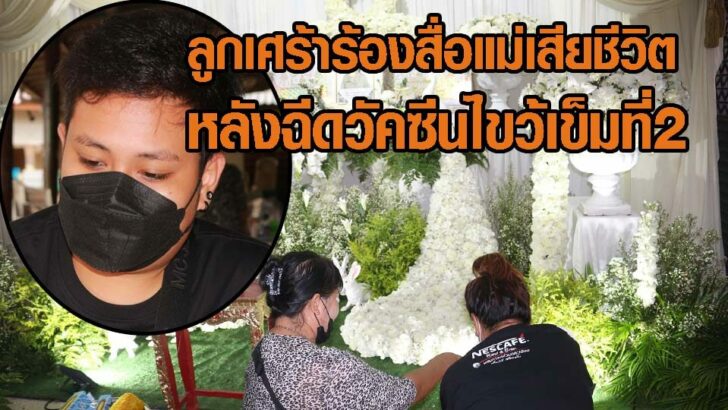 ลูกเศร้าร้องสื่อ