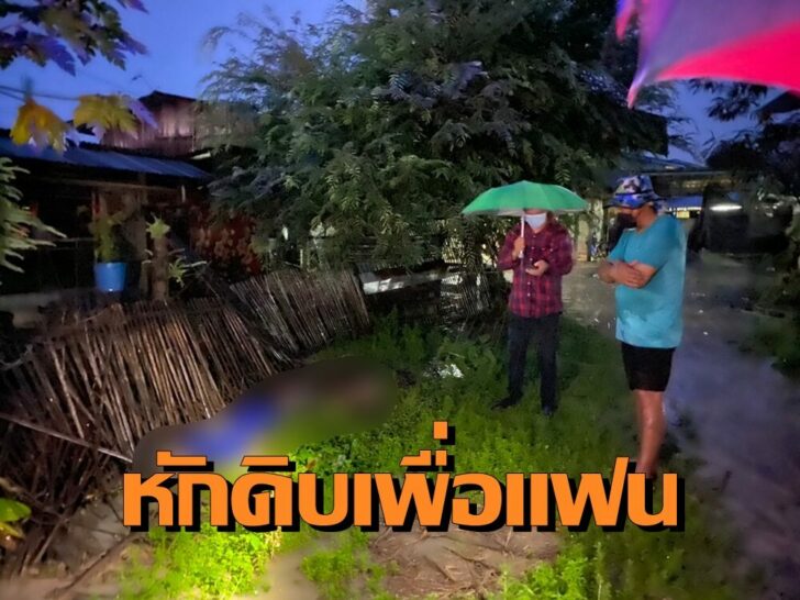 หักดิบ ก
