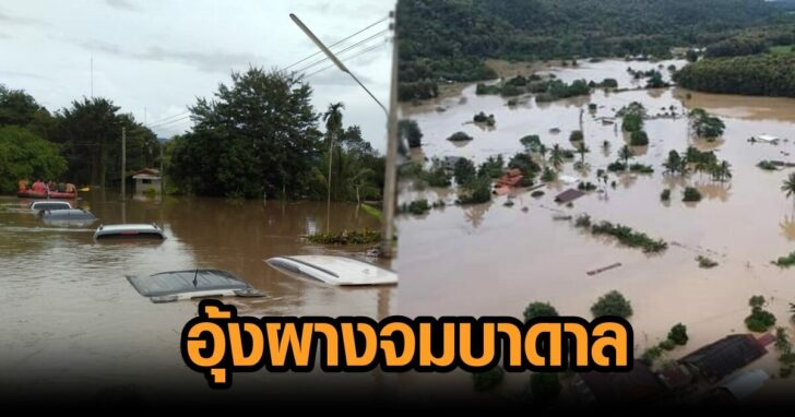 อุ้งผางจมบาดาล