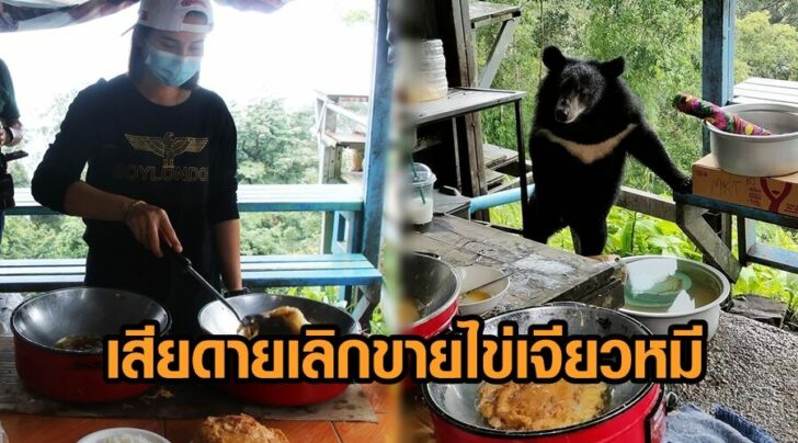เลิกขายไข่เจียวหมี2