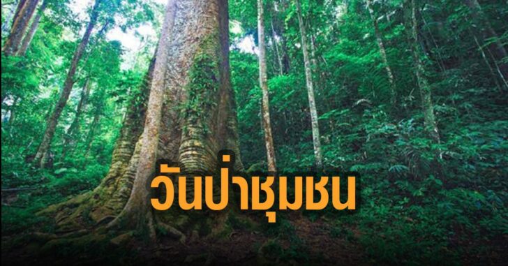 เสนอวันป่าชุมชน-กม.ป่าชุมชน