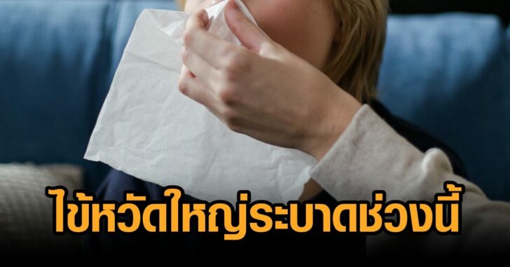 ไข้หวัดใหญ่
