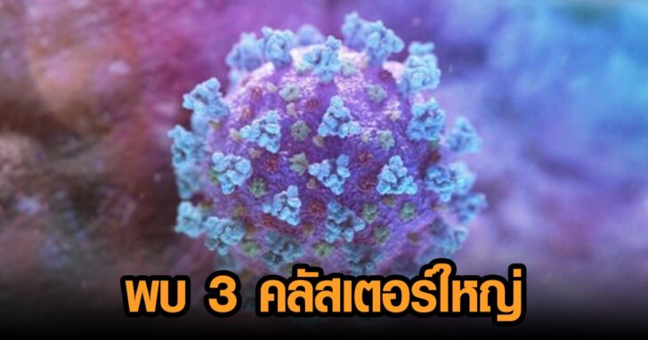 00065329+4653197846532178465321