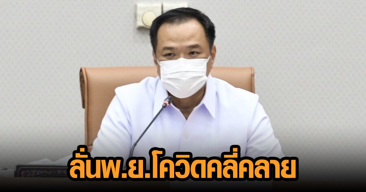 ชงศบค.เคาะแผนเปิดกทม.วันนี้ ‘อนุทิน’ ลั่นพ.ย.โควิดคลี่คลาย สธ.ห่วงหญิงท้องเสียชีวิต แนะ 2แสนคนเร่งฉีดวัคซีน