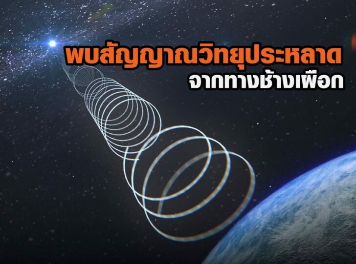 245472011_4651335288263382_4904305331713256365_n