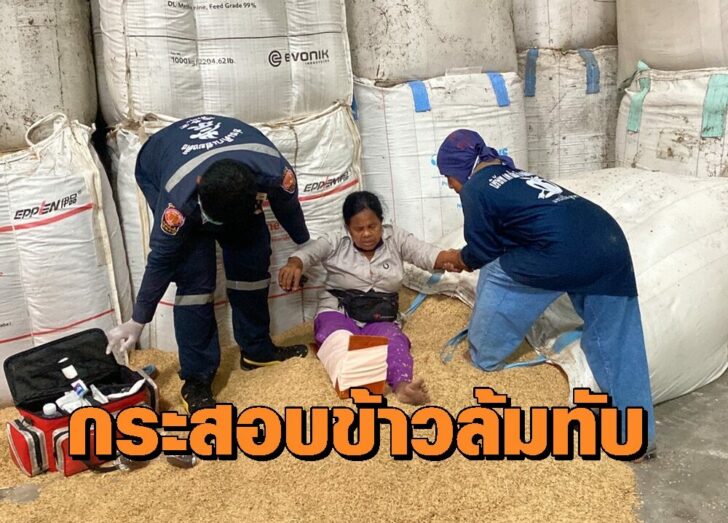 กรอสอบข้าว