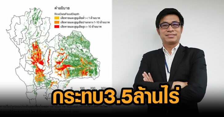 กระทบข้าว