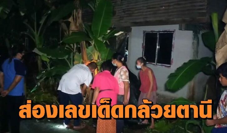 กล้วย