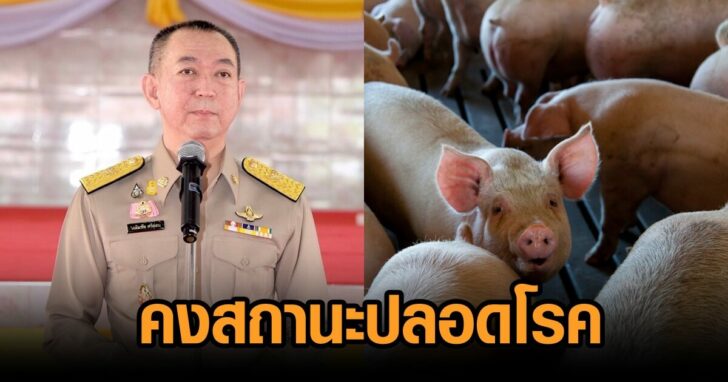คงสถานะปลอดโรค
