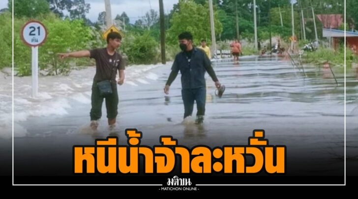 ฉฉ000006