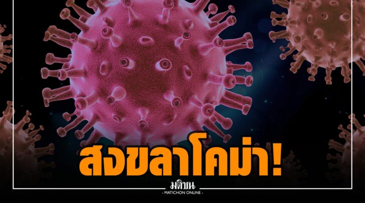 ชช0000014