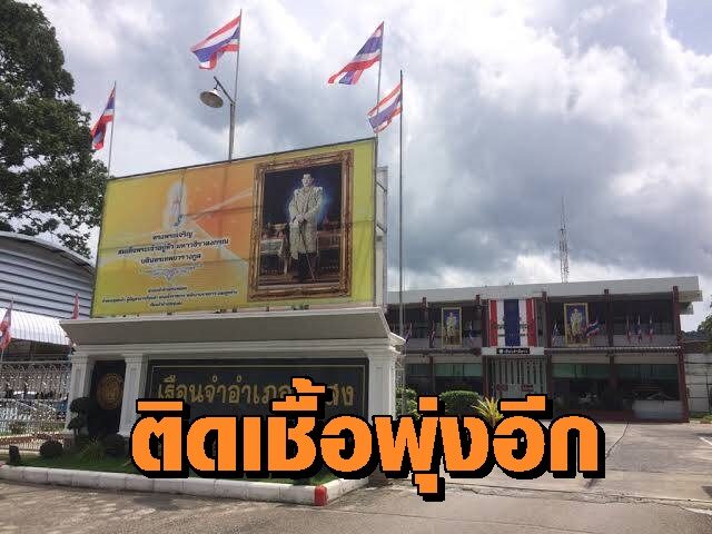 ทุ่งสง