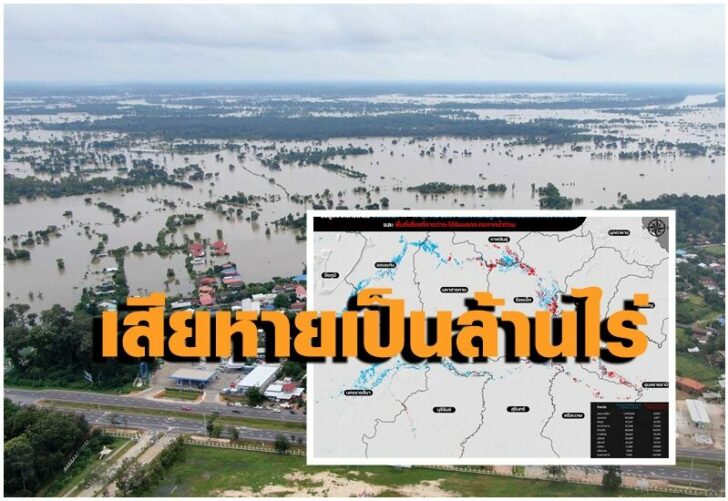 นาข้าวอีสาน