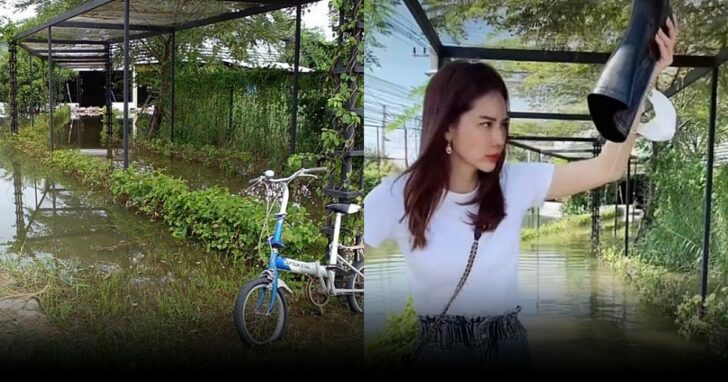 น้ำท่วม