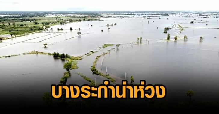 บางระกำน่าห่วง