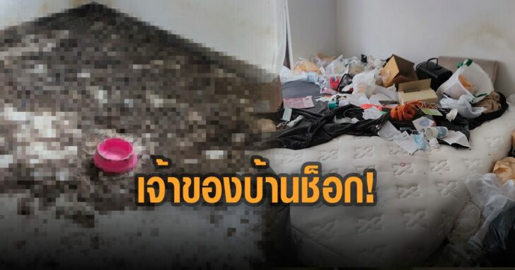 บ้านเช่าสยอง-ขี้หมากองพะเนิน