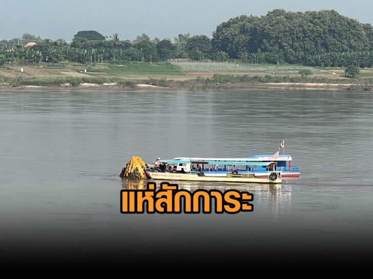 ปก