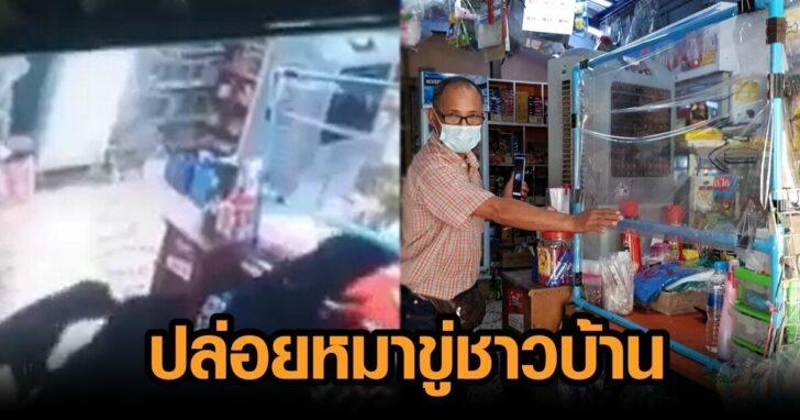 ปล่อยหมาขู่