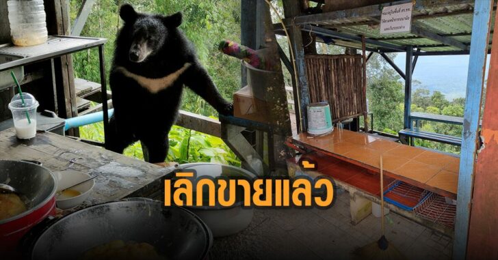 ปิดตำนาน-ข้าวไข่เจียว-หมี-ผา-ตรอมใจ