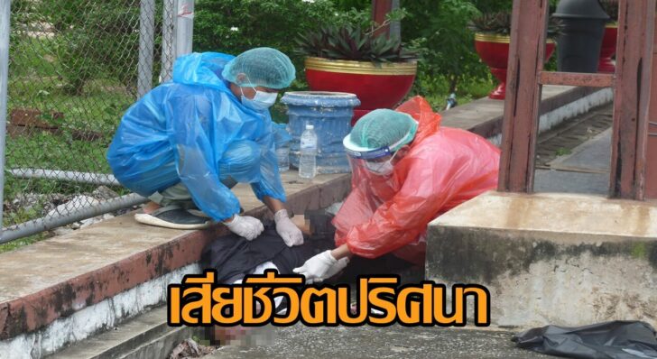 พิจิตร1