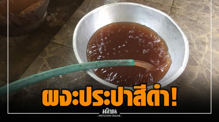ฟฟ000014
