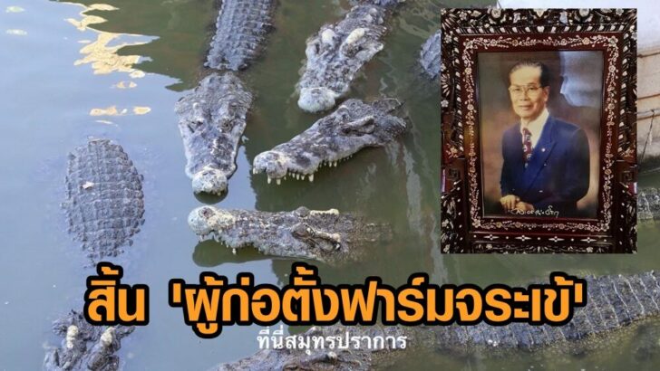 ฟาร์มจระเข้3