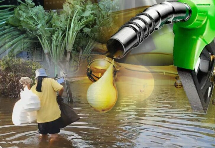 ภป.บทนำ บทนำ : ตามทุกข์ให้ทัน จังหวัดพระนครศรีอยุธยาประกาศเขตให้ความช่วยเหลือ