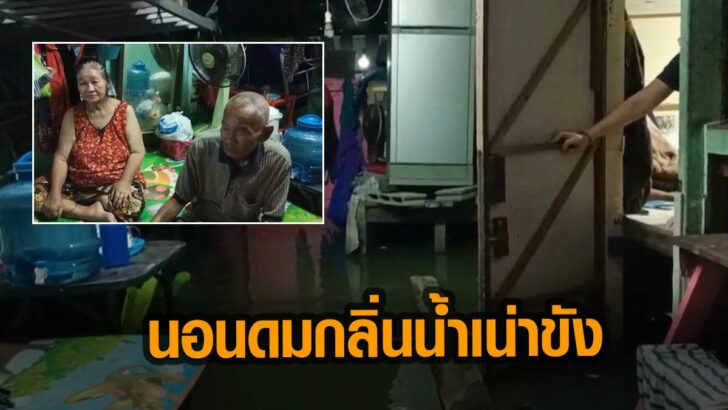 ภาพนำ5656