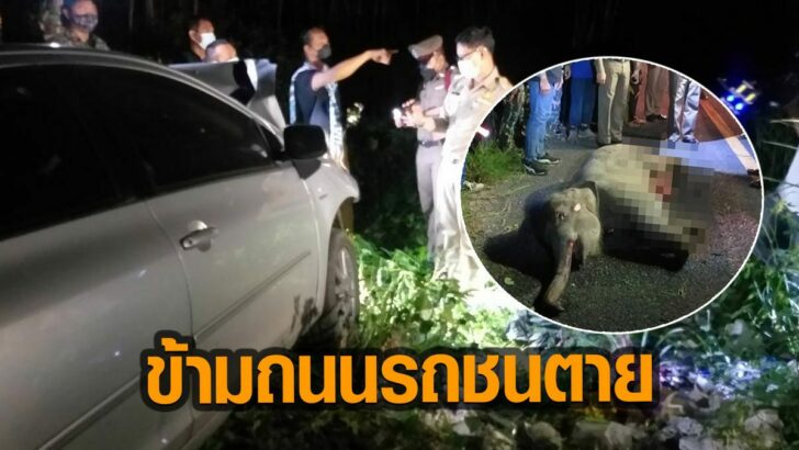 ภาพนำ656