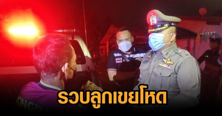 ลูกเขยโหด