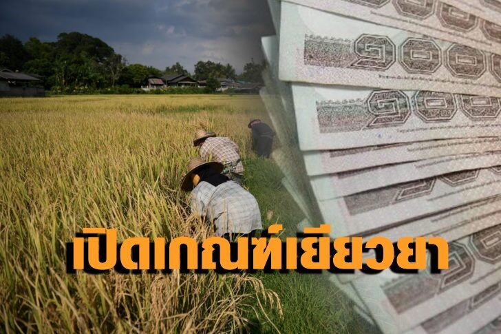 THAILAND-AGRICULTURE-ENVIRONMENT-ECONOMY-RICE