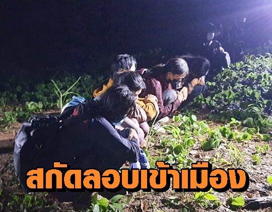 แรงงาน