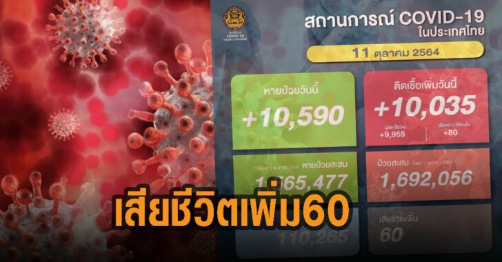 โควิด-11-ต.ค.64