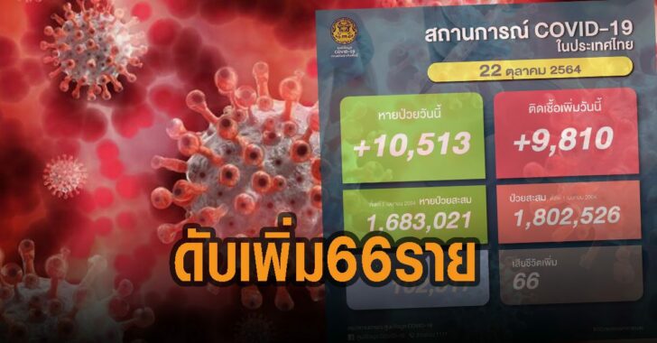 โควิด-ดับเพิ่ม-66-ราย