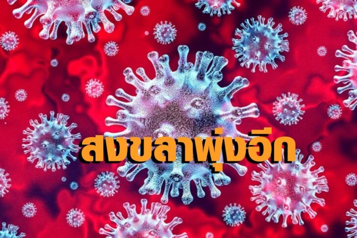 โควิดสงขลา
