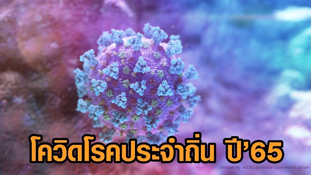 สธ.ยันโควิดโรคประจำถิ่น ปี’65 เร่งค้น 10 ล้านคน ฉีดวัคซีน คาดได้ 5 ล้านราย