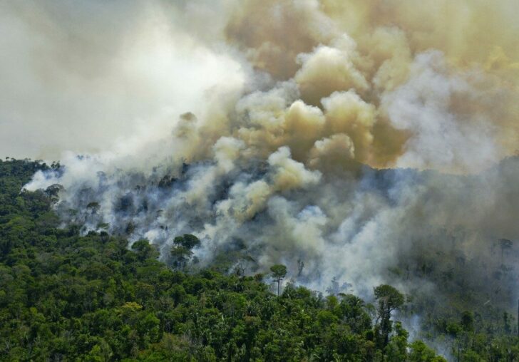 FILES-BRAZIL-ENVIRONMENT-DEFORESTATION