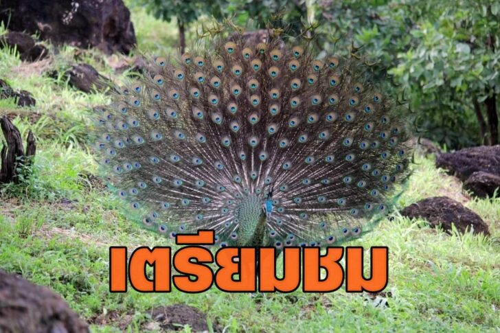 111