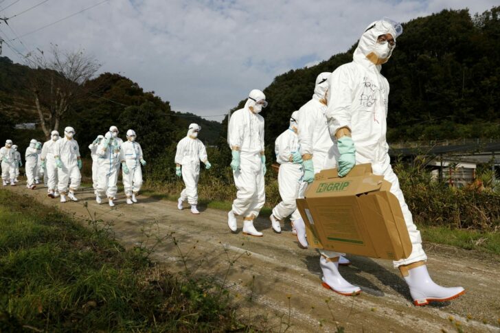 2021-11-10T091557Z_1275752863_RC2LRQ9FF9SF_RTRMADP_3_HEALTH-BIRDFLU-JAPAN