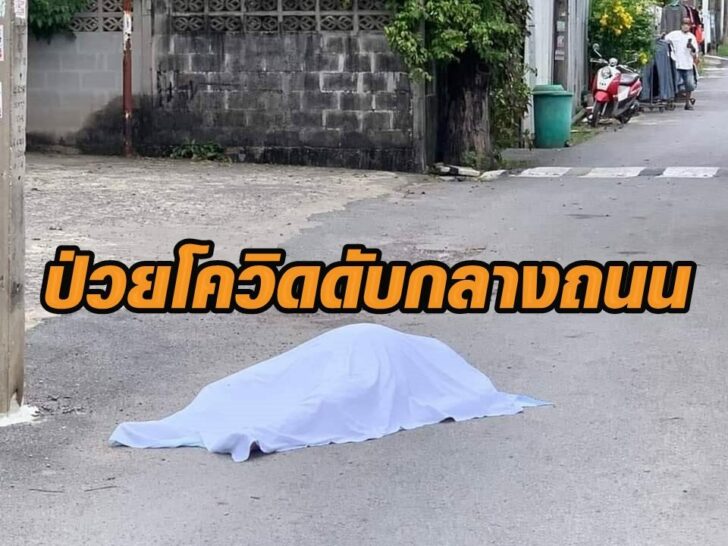 23 พ.ย.โควิด