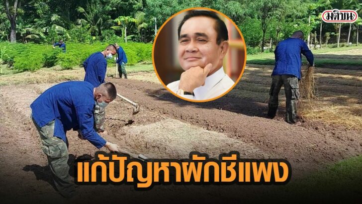 25ดะทพ