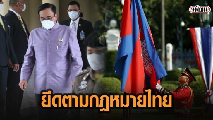 31ม้ัเ